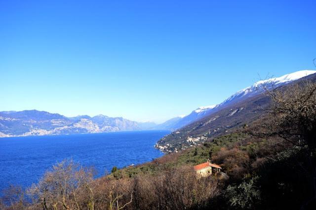 Appartamenti Menapace Torri Del Benaco Exterior photo