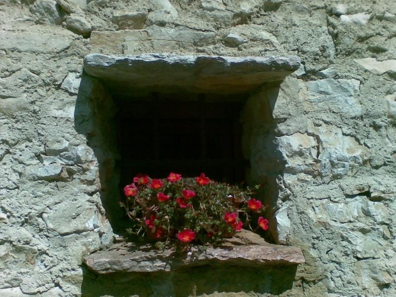 Appartamenti Menapace Torri Del Benaco Exterior photo